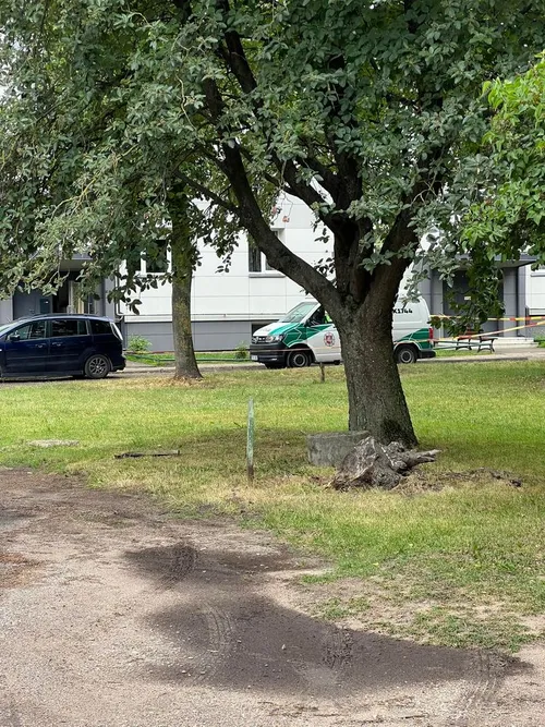 2a90445de23585966d3881dbb03d481f