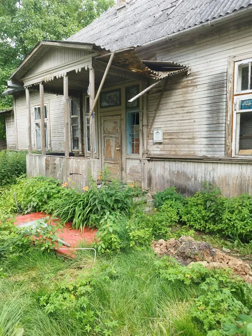 Medinukas Vieversių gatvėje / Asm. albumo nuotr.