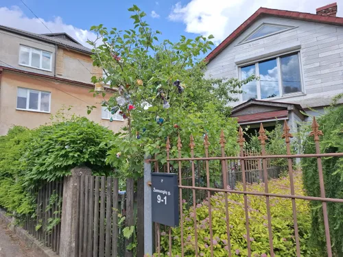 445db8b179481e0310d1547d325b36fe scaled