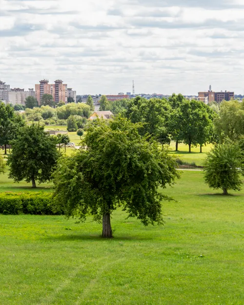 Obelų sodas Kauno IX forte.