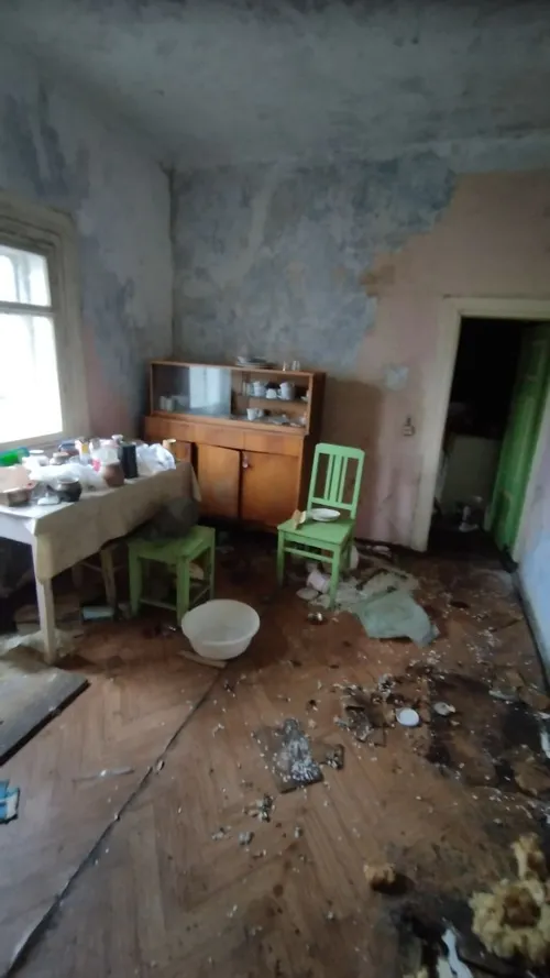 Medinukas Vieversių gatvėje / Asm. albumo nuotr.