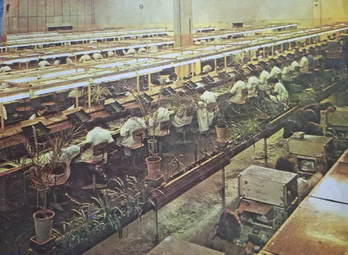 c333c328949605f3cd91b2181d17a003 scaled e1719754589578