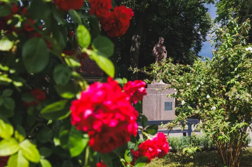 Maironio muziejaus sodelis / R. Tenio nuotr.