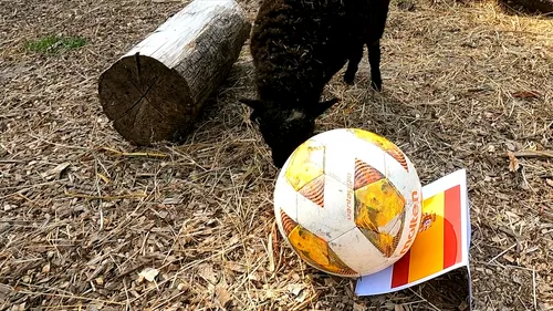 04542b8ad28107a484cca548fc84222a