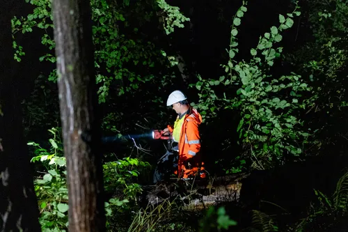 Elektros energijos sutrikimų šalinimas / ESO nuotr.