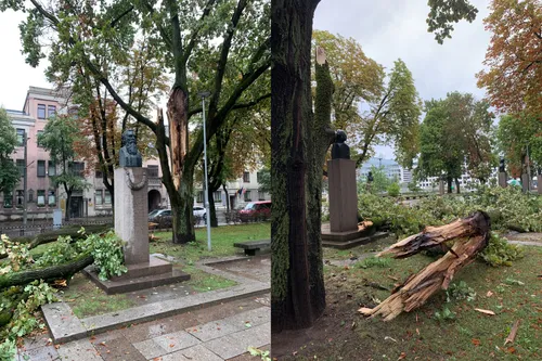 Nulūžęs medis VDU Karo muziejaus sodelyje / Skaitytojo nuotr.