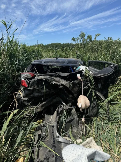 337361dd99fda648c3bb2c7cb4e8ab0f