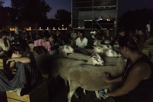 40929defef5e5dc96774c162c811ada8