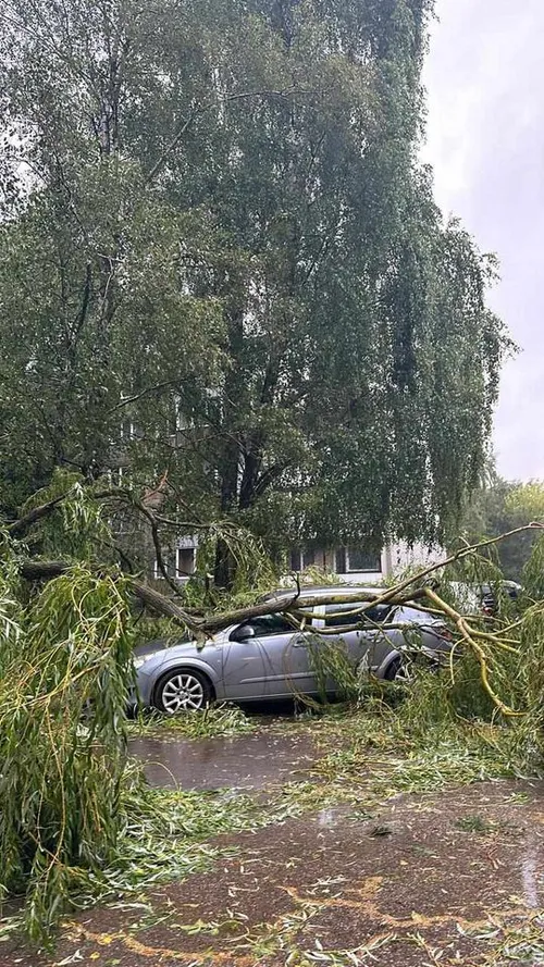 4448ce1c7339a02f3fe4250e82f9e060