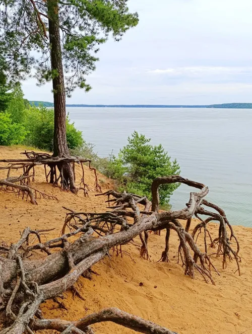 51387aa6e623b56af3f0eb099211637c