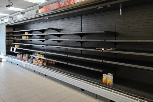 „Maisto logistikos centras“