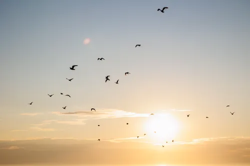 Asociatyvi / Eriko Ovčarenko nuotr.