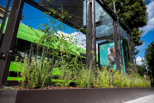 f15e1ccfea098ccf58b0156149d48528