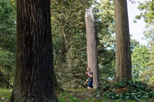 Ąžuolynas / R. Tenio nuotr.