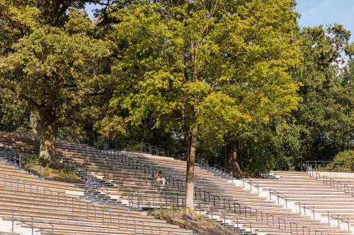 Ąžuolynas / R. Tenio nuotr.