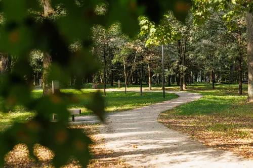 Ąžuolynas / R. Tenio nuotr.