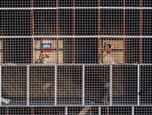 08117f16b03deee69083c926f079368c