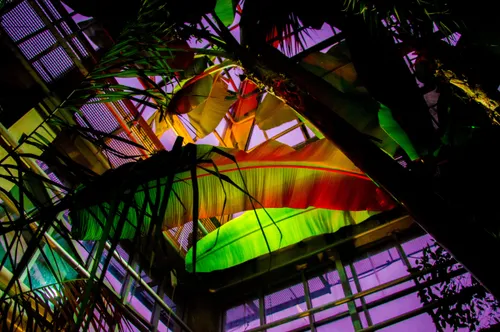 3e9631ef4ba4a8014caffbfd18221eeb scaled