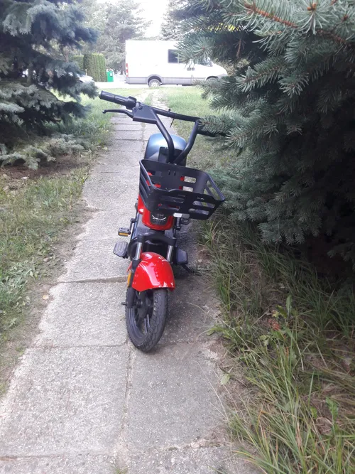 d6c861a0dfcc1b5748dec34bb539a4f8 scaled