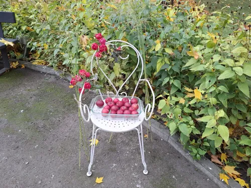 13085b160745a0ea2fc5e29e9f49e9da scaled