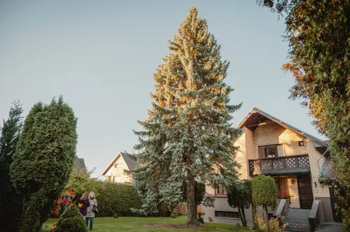 15be7292759cf0283bf90b727a26e1fa scaled