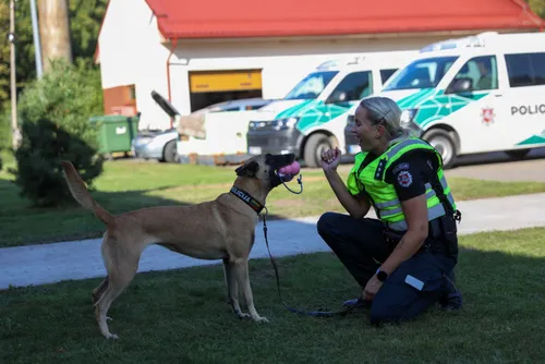 1c488c1aee537a42f08a93c6e705d8ab