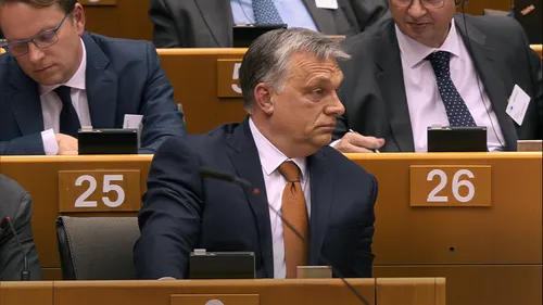 Juodoji demokratija./Organizatorių nuotr.