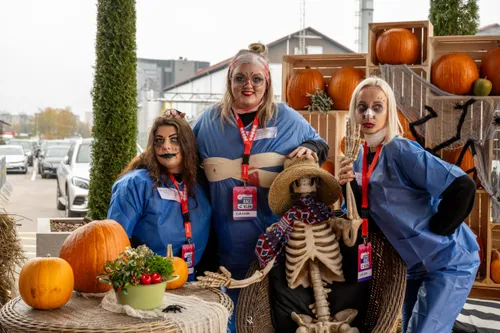 cfb21925f56e633e35534ac2241cfb60 scaled