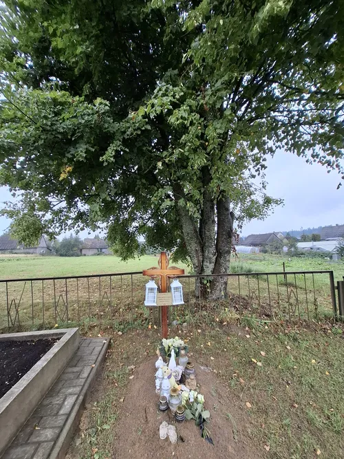 d66db2824763a5a118cd08f3d13a514c scaled