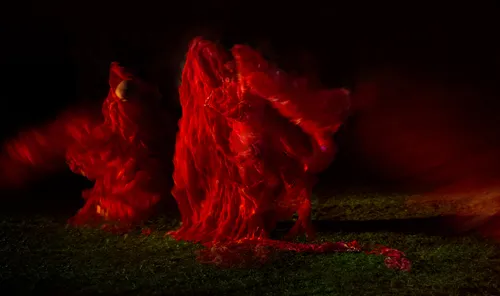 Sakurako San, 2018./S. Baturos nuotr.