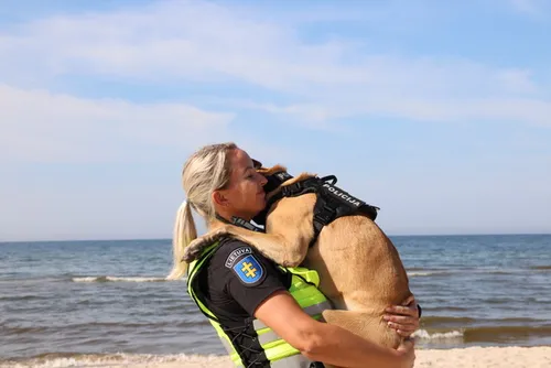 fad6c5856aa37e6bf11d61a1358b6f32