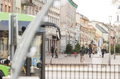 Eglutės Vilniaus gatvėje / R. Tenio nuotr.