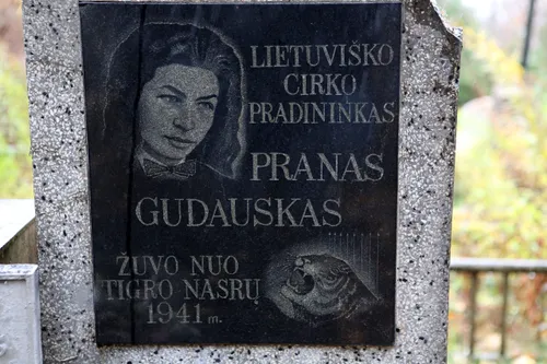 414a16fd21b0d5cf467e4ca873dab561 scaled