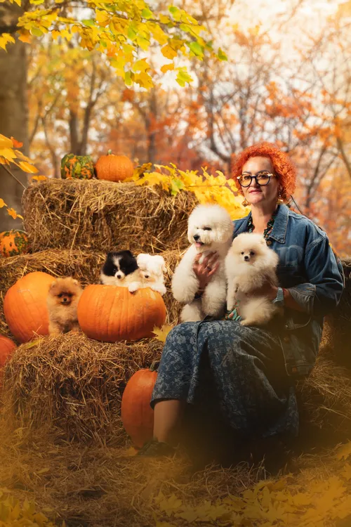 7ddfdf9b661a31ce370e6adced7ea1c7