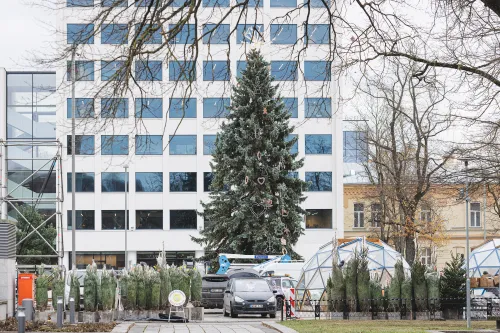 Puošiama Kalėdų eglė vienybės aikštėje / R. Tenio nuotr.