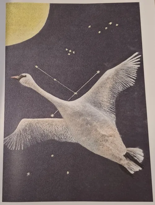 Knyga „LLLatų pasakos“./S. Javaitytės nuotr.