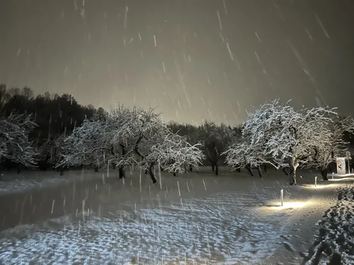 13ea040195012d4b0a6837f7f8a29be9 scaled