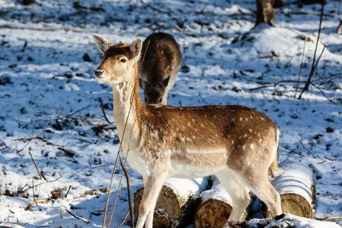 14a363674d857dd9e23e75f7973b753c scaled