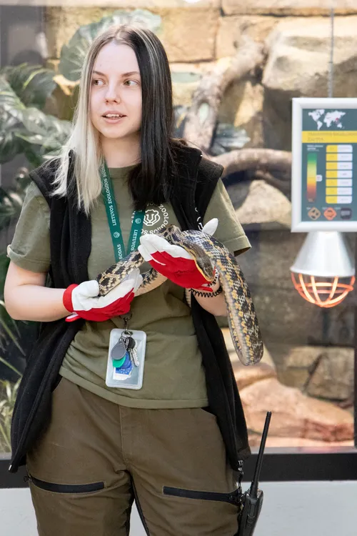 6f112c8ceaf23a5c5a7d185167fb66e7