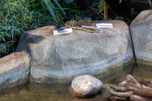 7f52c5eb54c2f927507c403c395f7094