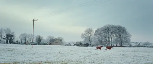 c55deab5fcd11e77250ce4e7d1ba8707 scaled