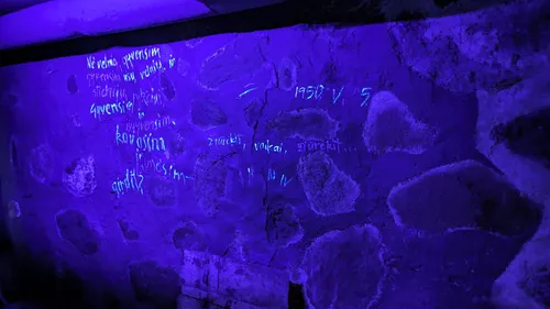 Dalios Grinkevičiūtės namai-muziejus Laukuvoje./Organizatorių nuotr.