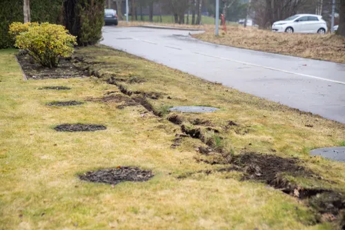 121156163 925ea233 9f15 4f7e a5b3 8c79a4a68de1