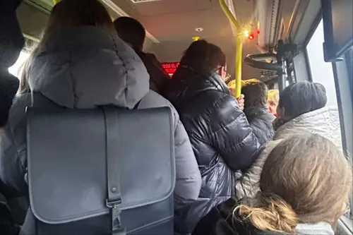 mixcollage 16 mar 2025 11 36 am 2436