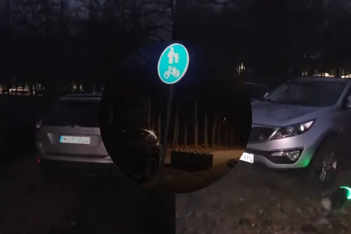 Automobiliai Ąžuolyne