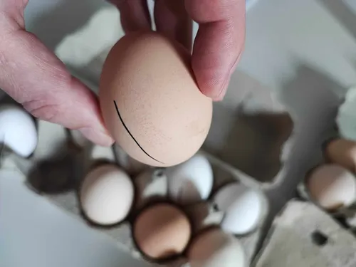 490419446 663136536432251 7207431425444853005 n