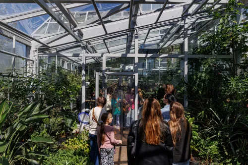 Drugiai botanikos sode / R. Tenio nuotr.