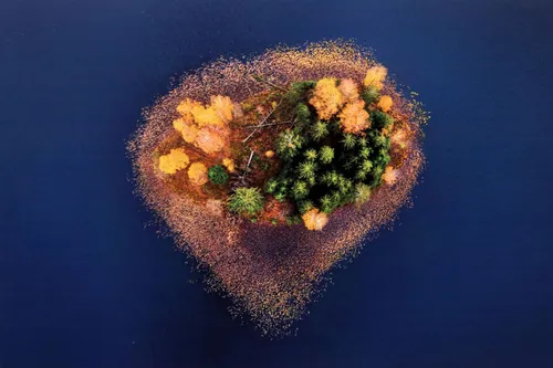 R. Požerskio parodos „Salos“ atidarymas / M. Patašiaus nuotr.