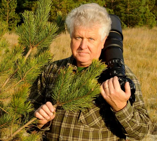 selemonas 2016 m kursiu nerija