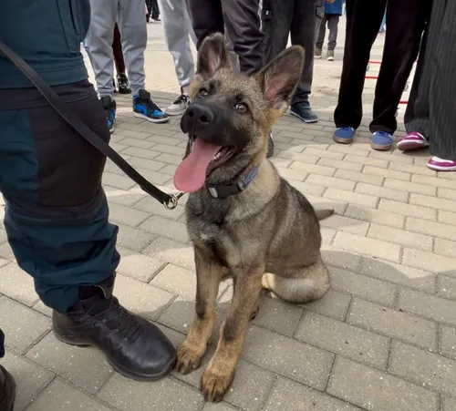 Kauno policijoje – moksleivių atvirų durų diena / Kauno AVPK nuotr.